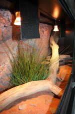 terrarium 1.20 013.jpg