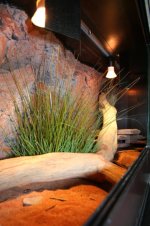 terrarium 1.20 014.jpg