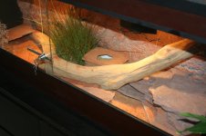 terrarium 1.20 018.jpg