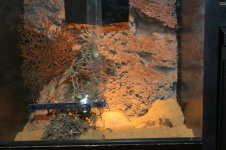 terrarium 1.20 019.jpg