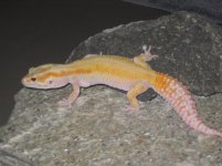 IMG_3685.jpg