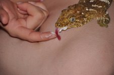DSC_0011.jpg