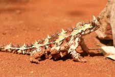 Australie 7.jpg