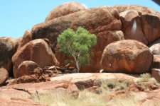 Australie uitzicht 3.jpg