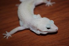 IMG_6483.jpg