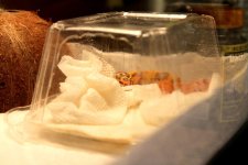 Humid HIde001.jpg