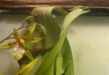 07092010588.jpg