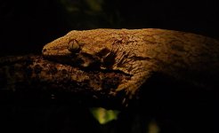 DSC_6830.jpg