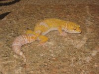 IMG_3727.jpg