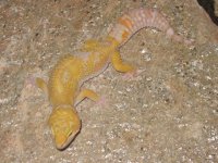 IMG_3717.jpg