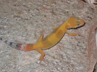 IMG_3740.jpg