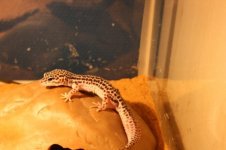 Herschaalde kopie van IMG_3026.jpg