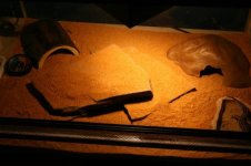 Herschaalde kopie van IMG_3028.jpg