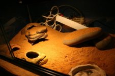 Herschaalde kopie van IMG_3030.jpg