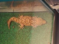 2011-01-28 16.48.44.jpg