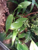 WP_000618.jpg