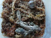 22.4.2011 006.jpg