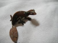 geckos 1391.jpg