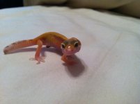IMG_0165.jpg