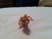 IMG_0169.jpg