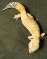 Early 2011 038a.JPG