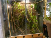terrarium 001.jpg
