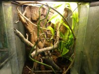 terrarium 006.jpg