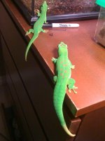 IMG_0705.jpg