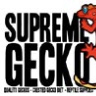 Supreme Gecko