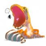 geckogirl89