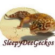 SleepyD