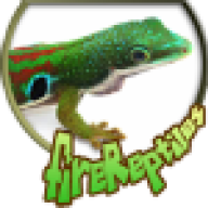firereptiles