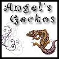 the_angel_007
