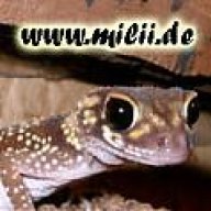 Onlinecat