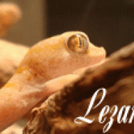 Lezar