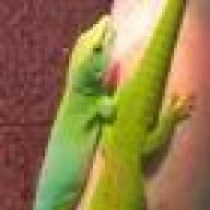 Benja