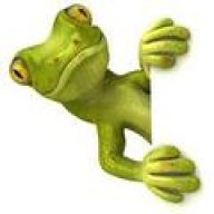 gecko2013