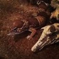 Geckozilla0439