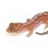 firecrested