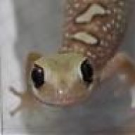 Pete