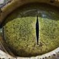 Raging_Crocodile