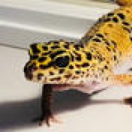LittleLeo123