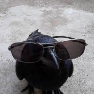 corviknight