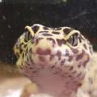 zackaroo