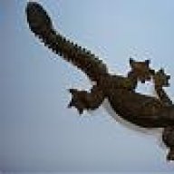 niccoliherp