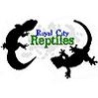 Royal-City-Reptiles