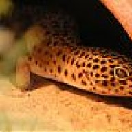 Peet