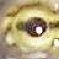 Turtlestork