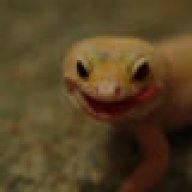 @marko@