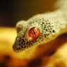 python1324